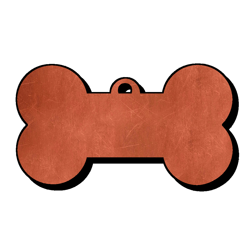 Bone_V1_CP_.png
