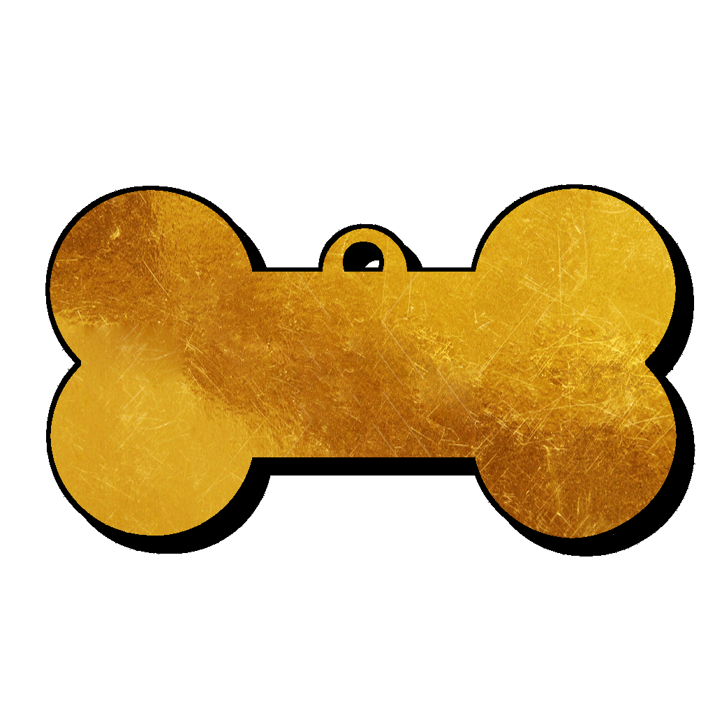 Bone_V1_NG.png