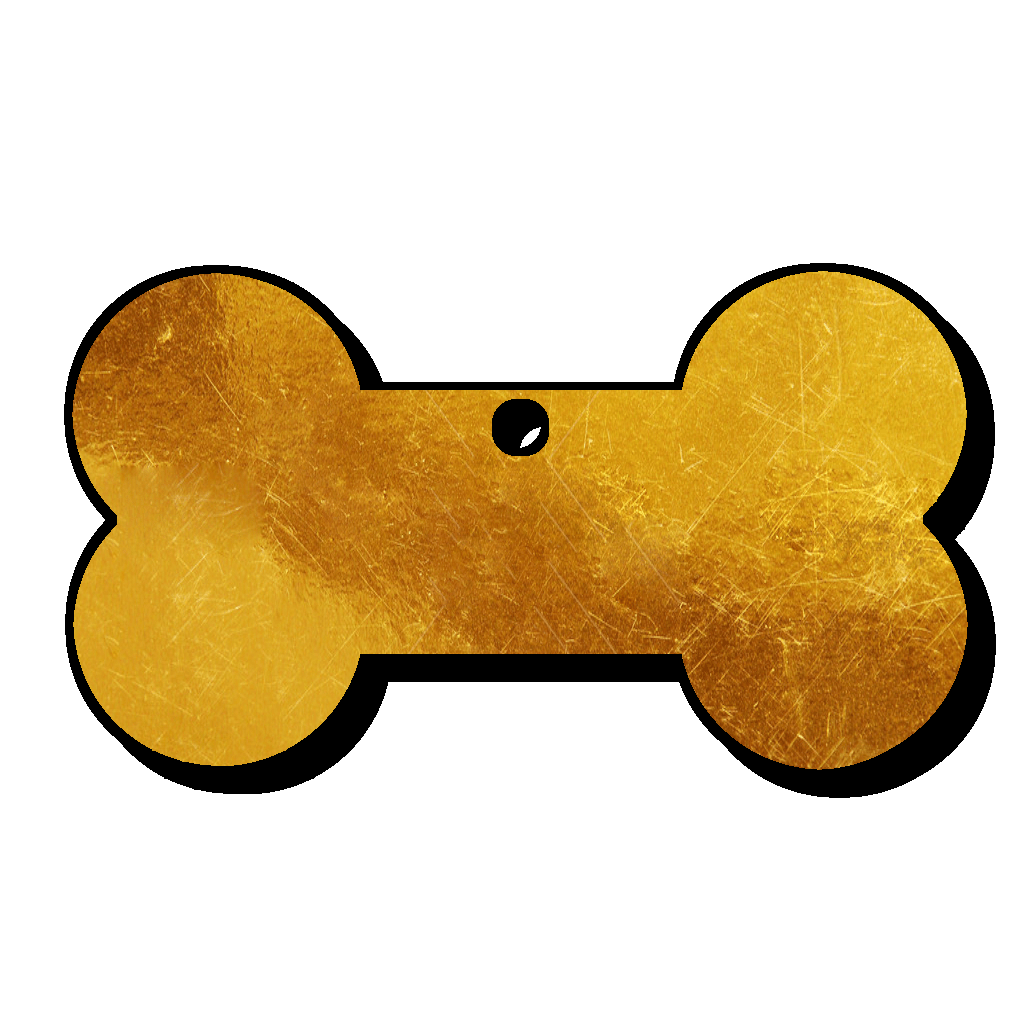 Bone_V2_NG.png