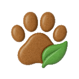 Nachhaltige foten icon