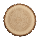 Baumscheibe aus Eichenholz