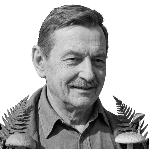 Graustufenbild eines Mannes